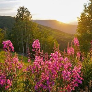 Image post by @tourcolorado on Instagram
