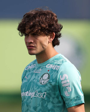 Image post by @palmeiras on Instagram