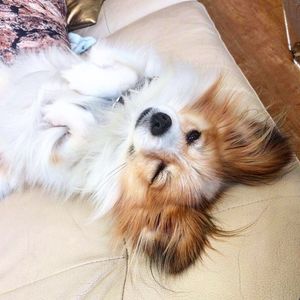 Image post by @icyoohere on Instagram