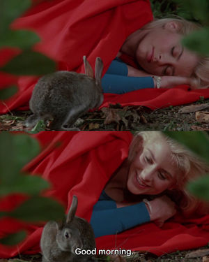 Image post by @letterboxd on Instagram
