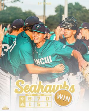 Image post by @uncwbaseball on Instagram