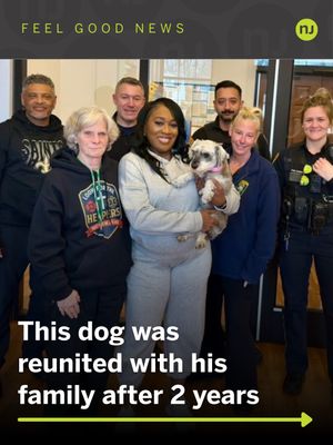 Video post by @njdotcom on TikTok