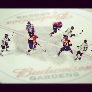 Image post by @londonknights on Instagram