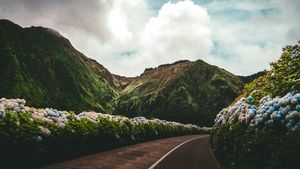 Image post by @dennisadasilvaa on Instagram