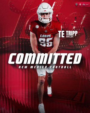 Image post by @tripp_walsh on Twitter