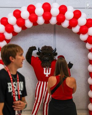 Image post by @hoosierthebison on Instagram