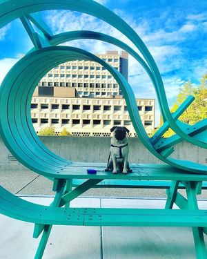 Image post by @universityatbuffalo on Instagram