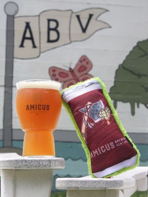 Image post by @amicusbrewingventures on Instagram