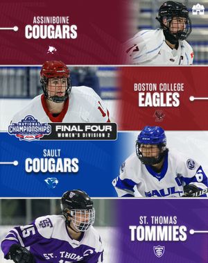 Image post by @hockeyhousepod on Instagram