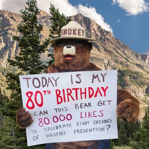 Image post by @smokeybear on Instagram