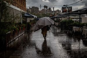 Image post by @zumapress on Instagram