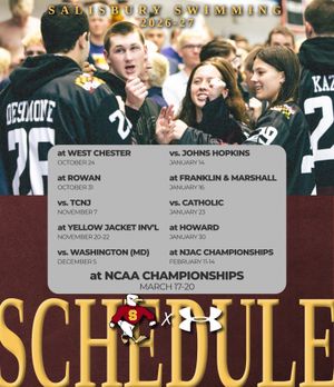 Image post by @suseagulls on Instagram