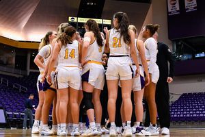 Image post by @lipscomb_wbb on Instagram