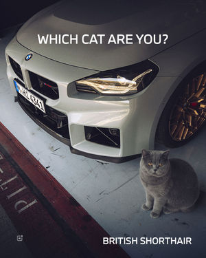 Image post by @bmw on Instagram