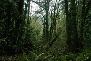 Image post by @W.39thPhotos on Facebook