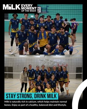 Image post by @bucssport on Instagram