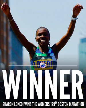 Image post by @purelyboston on Instagram