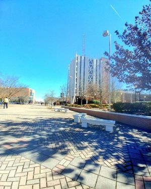 Image post by @jacksonstateu on Instagram