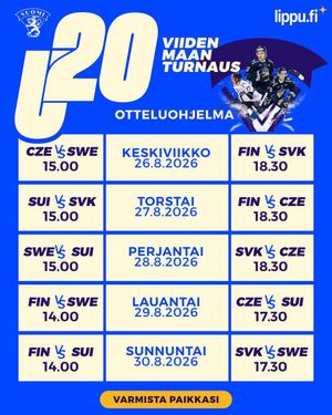 Image post by @leijonatfi on Instagram