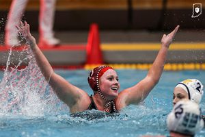Image post by @indianawpolo on Instagram