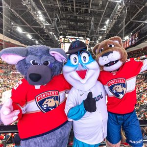 Image post by @stanleyc.panther on Instagram