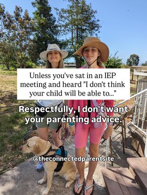 Image post by @theconnectedparentsite on Instagram