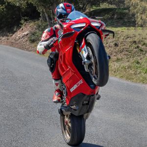 Image post by @panigalers on Instagram
