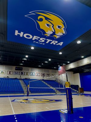 Image post by @hofstravb on Instagram