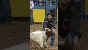 Video post by @officialcowboychannel on YouTube