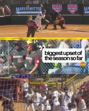 Image post by @welivesoftball_ on Instagram