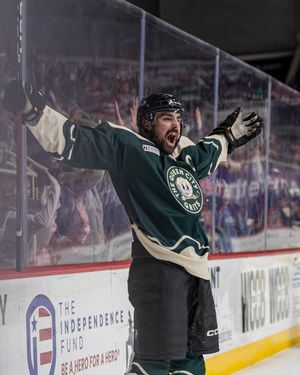 Image post by @theahl on Instagram