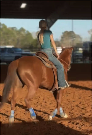 Video post by @aubrey.lx on TikTok