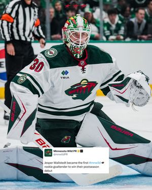 Image post by @minnesotawild on Instagram