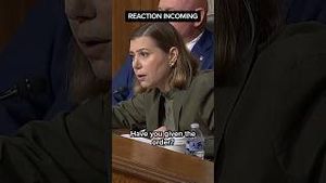 Video post by @msnbc on YouTube