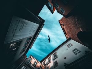 Image post by @leocouphoto on Instagram