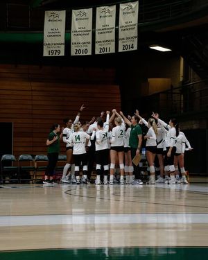 Image post by @charwebsterphoto on Instagram