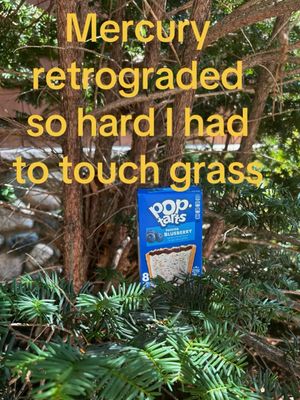 Image post by @poptartsus on Instagram