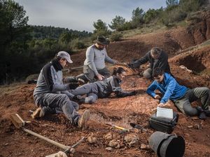 Image post by @paoloverzone on Instagram