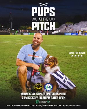 Image post by @charlestonbattery on Instagram