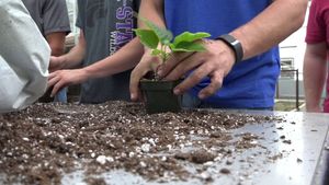 Image post by @kstate on Facebook