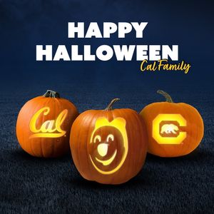Image post by @calwbball on Instagram