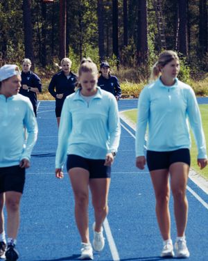 Image post by @leijonatfi on Instagram