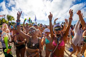 Image post by @groovecruise on Instagram