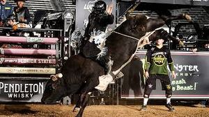 Video post by @pbr on YouTube