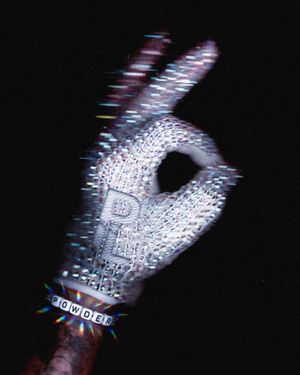 Image post by @powderleague on Instagram