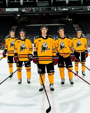 Image post by @ohlicedogs on Instagram