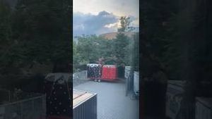 Video post by @brlobeer on YouTube