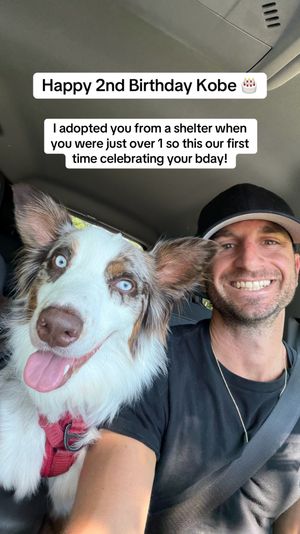 Video post by @randysilvertv on TikTok