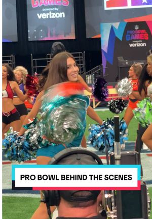 Video post by @dolphinscheer on TikTok