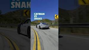 Video post by @raceservice on YouTube